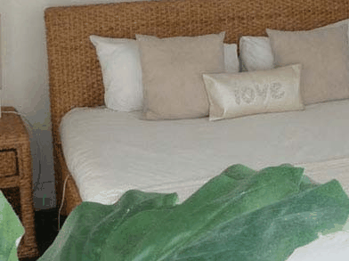 Caledonian Inn - Accommodation Port Macquarie 0