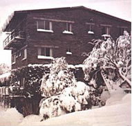 Elk at Falls - Accommodation Port Macquarie