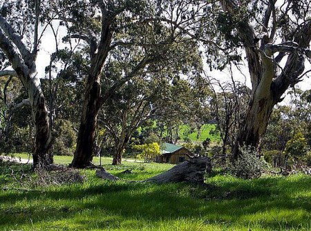Wuthering Heights - Bronte Manor - Accommodation Port Macquarie 3