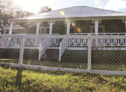 Basil's Brush - Accommodation Port Macquarie 0