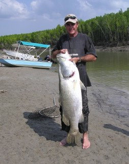 Dundee Downs Bush Resort - Accommodation Port Macquarie 0
