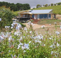 The Blue Grape Vineyard Accommodation - Accommodation Port Macquarie