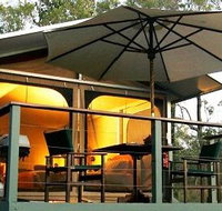 Jabiru Safari Lodge at Mareeba Wetlands - Accommodation Port Macquarie