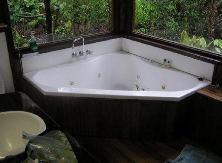 The Canopy Rainforest Tree Houses And Wildlife Sanctuary - Accommodation Port Macquarie 0