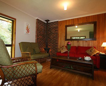 The Canopy Rainforest Tree Houses And Wildlife Sanctuary - Accommodation Port Macquarie 1