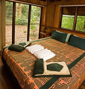 The Canopy Rainforest Tree Houses And Wildlife Sanctuary - Accommodation Port Macquarie 2