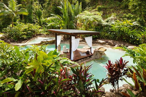 Misty Mountains Tropical Rainforest Romantic Retreat - Accommodation Port Macquarie 3
