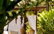 Misty Mountains Tropical Rainforest Romantic Retreat - thumb 4