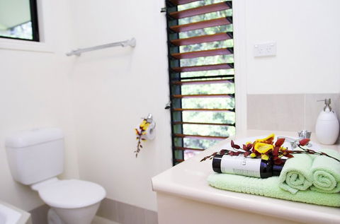 Misty Mountains Tropical Rainforest Romantic Retreat - Accommodation Port Macquarie 5