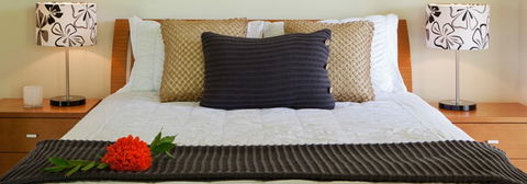 Misty Mountains Tropical Rainforest Romantic Retreat - Accommodation Port Macquarie 7