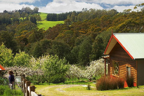 Elvenhome Farm Cottage - Accommodation Port Macquarie 5