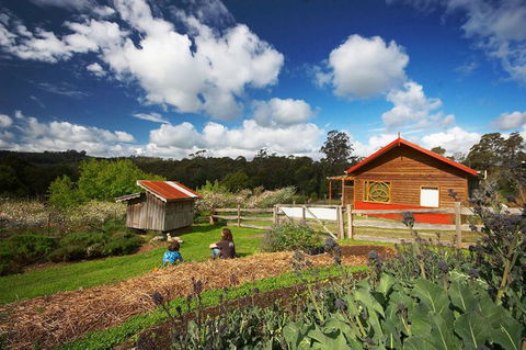Elvenhome Farm Cottage - Accommodation Port Macquarie 6