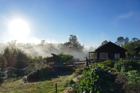 Elvenhome Farm Cottage - Accommodation Port Macquarie 9