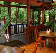Daintree Wilderness Lodge - Accommodation Port Macquarie