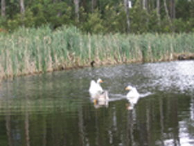  Accommodation Port Macquarie