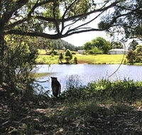 Newry Park Cottage - Accommodation Port Macquarie