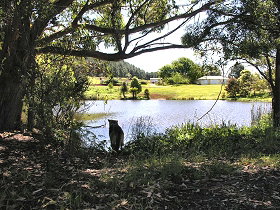 Newry Park Cottage - Accommodation Port Macquarie 0