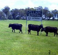 Cluan Homestead - The Managers Residence - Accommodation Port Macquarie