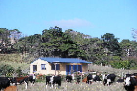 Marrawah TAS Accommodation Port Macquarie