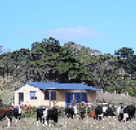 Marrawah Beach House - Accommodation Port Macquarie