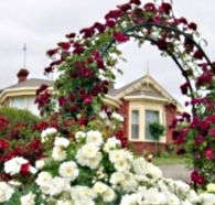 Golden Embers Apartments and B and B - Accommodation Port Macquarie