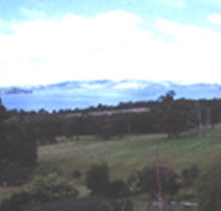 Waterview Gardens - Accommodation Port Macquarie