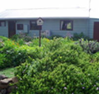 Engadine Cottage - Accommodation Port Macquarie