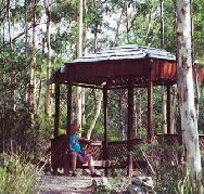 Telopea - Accommodation Port Macquarie