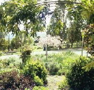 Cherry Park Estate - Accommodation Port Macquarie