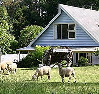 Hide-Away Cottage Retreat - Accommodation Port Macquarie