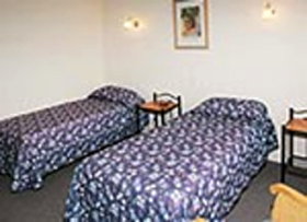 Mt Lyell Motor Inn - Accommodation Port Macquarie 0