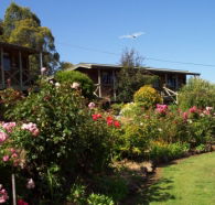 Mole Creek Holiday Village - Accommodation Port Macquarie