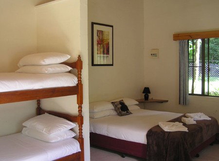 Lync-Haven Rainforest Retreat - Accommodation Port Macquarie 1
