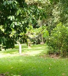 Julatten QLD Accommodation Port Macquarie
