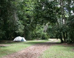 Kingfisher Park Birdwatchers Lodge - Accommodation Port Macquarie 5