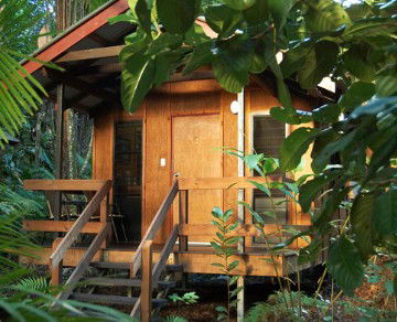 Cape Trib Beach House YHA - Accommodation Port Macquarie 4