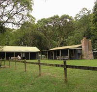 Tree Fern Lodge - Accommodation Port Macquarie