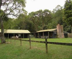Tree Fern Lodge - Accommodation Port Macquarie 0