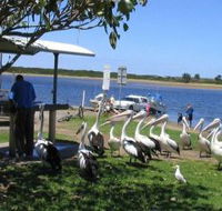 Mountain View Caravan and Mobile Home Village - Accommodation Port Macquarie
