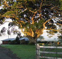 Arley Farm The Old Dairy - Accommodation Port Macquarie