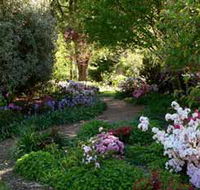 Wombat Hill Bed and Breakfast - Accommodation Port Macquarie