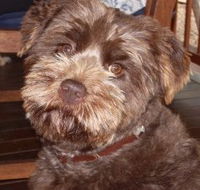 Lagoon Pocket Bed and Breakfast - Accommodation Port Macquarie