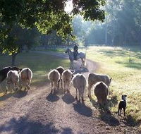 Brooloo Park - Accommodation Port Macquarie