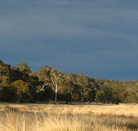 Namadgi National Park - Accommodation Port Macquarie
