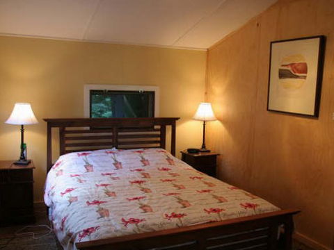 Tree Fern Lodge - Accommodation Port Macquarie 3