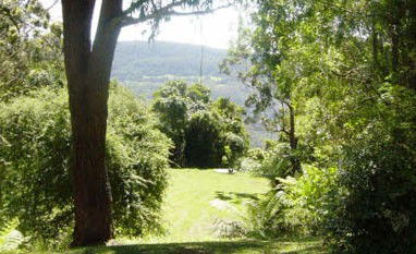 Red Dog Retreat - Accommodation Port Macquarie 1