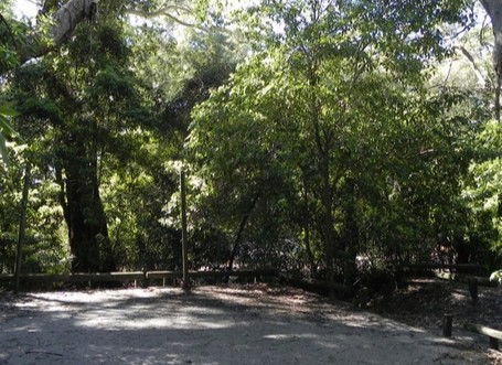 Booderee National Park: Green Patch Camping Area - Accommodation Port Macquarie 0
