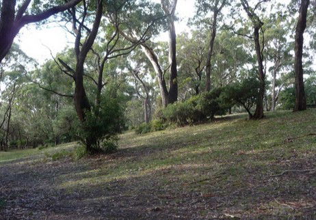 Booderee National Park: Green Patch Camping Area - Accommodation Port Macquarie 3
