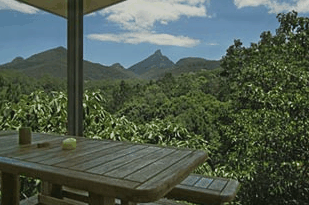 Mavis's Kitchen And Cabins - Accommodation Port Macquarie 1