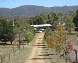Snowy Vineyard Cottage - Accommodation Port Macquarie 2